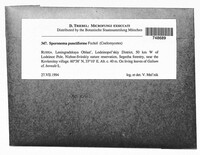 Image Associated With the Occurrence
